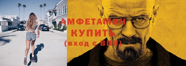 шишки Горно-Алтайск