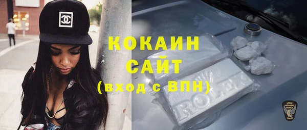 СК Вязьма
