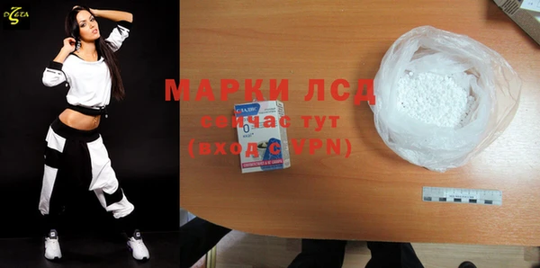 СК Вязьма