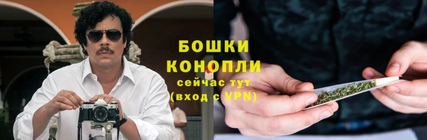 шишки Горно-Алтайск