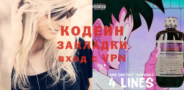 шишки Горно-Алтайск