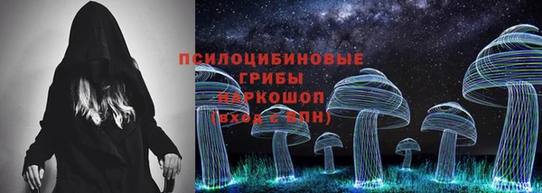 СК Вязьма
