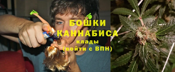 тгк Горнозаводск