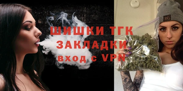 шишки Горно-Алтайск