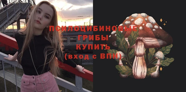 spice Вязники