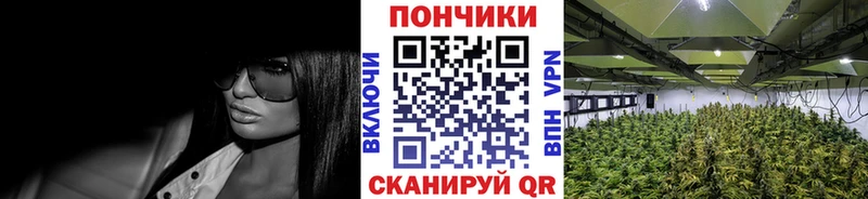 Купить  Мантурово  Конопля AK-47 